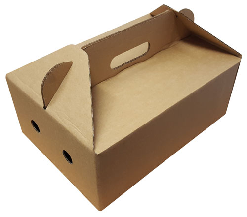 Takeaway Boxes